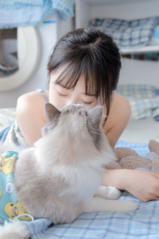 雾柳镇电视剧全集